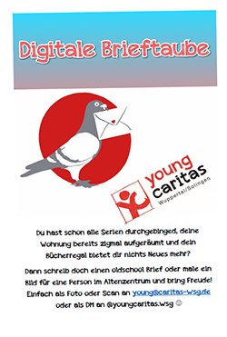 Brieftaube
