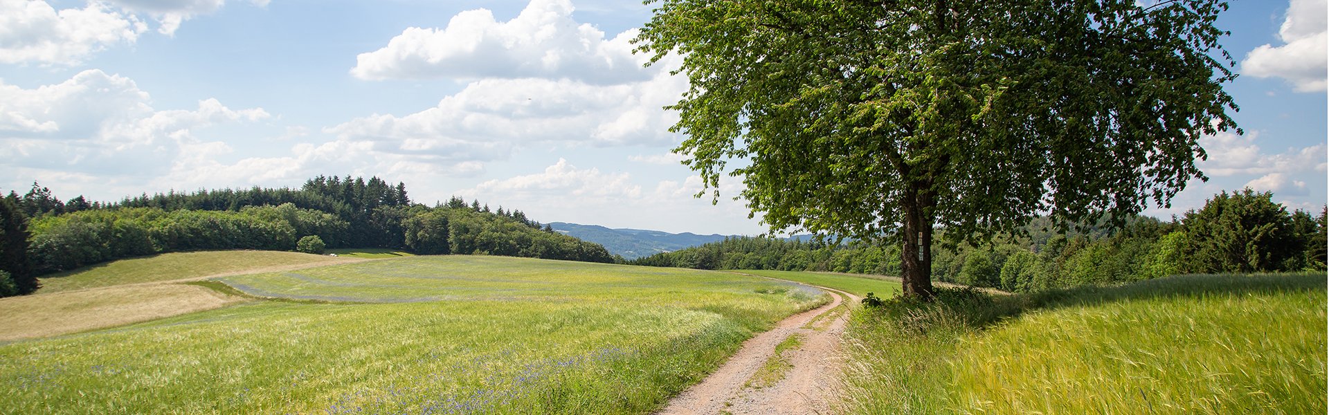 FASD Beratungszentrum (c) adobestock_zabanski