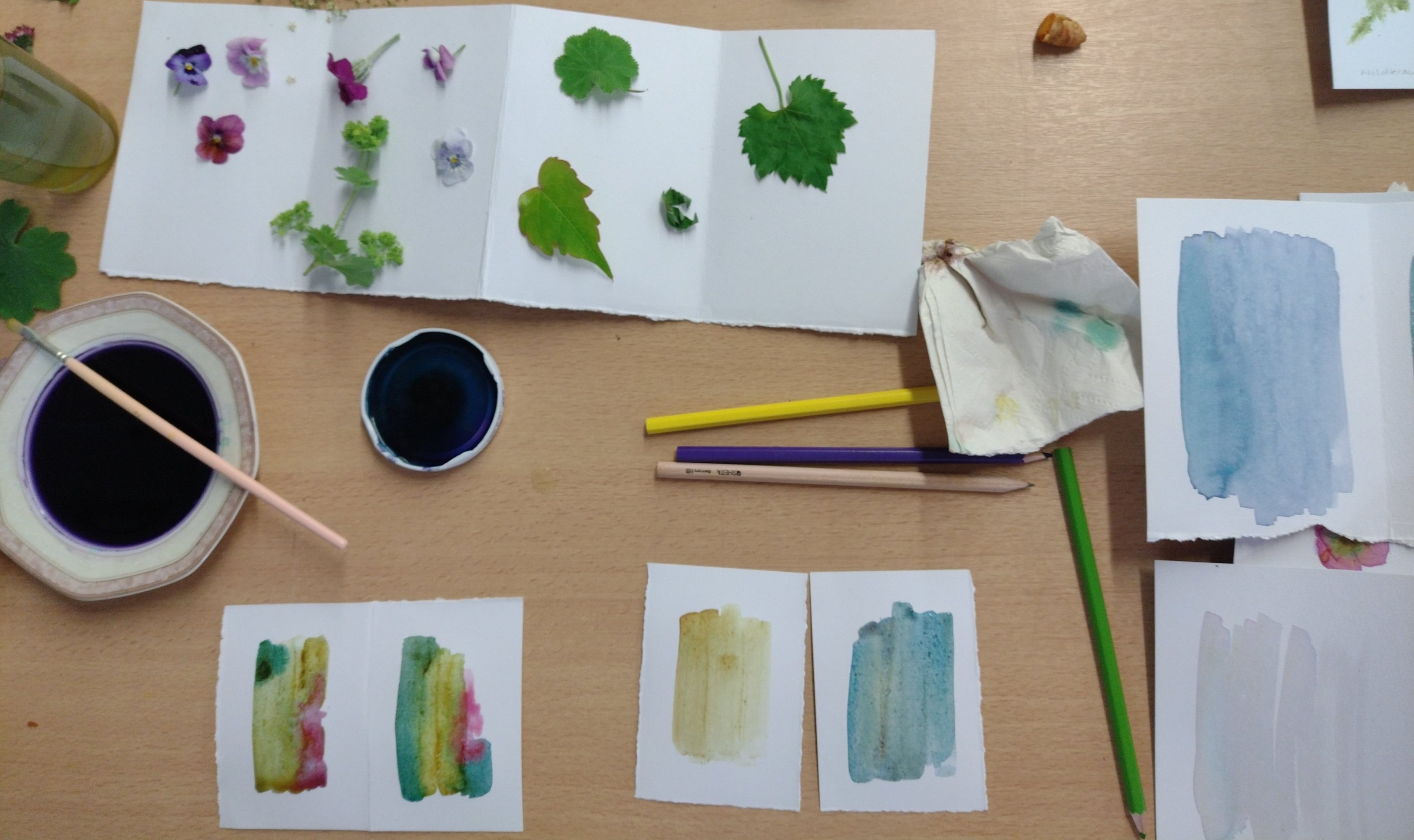 Flower Power (c) M.-S. Morpheld