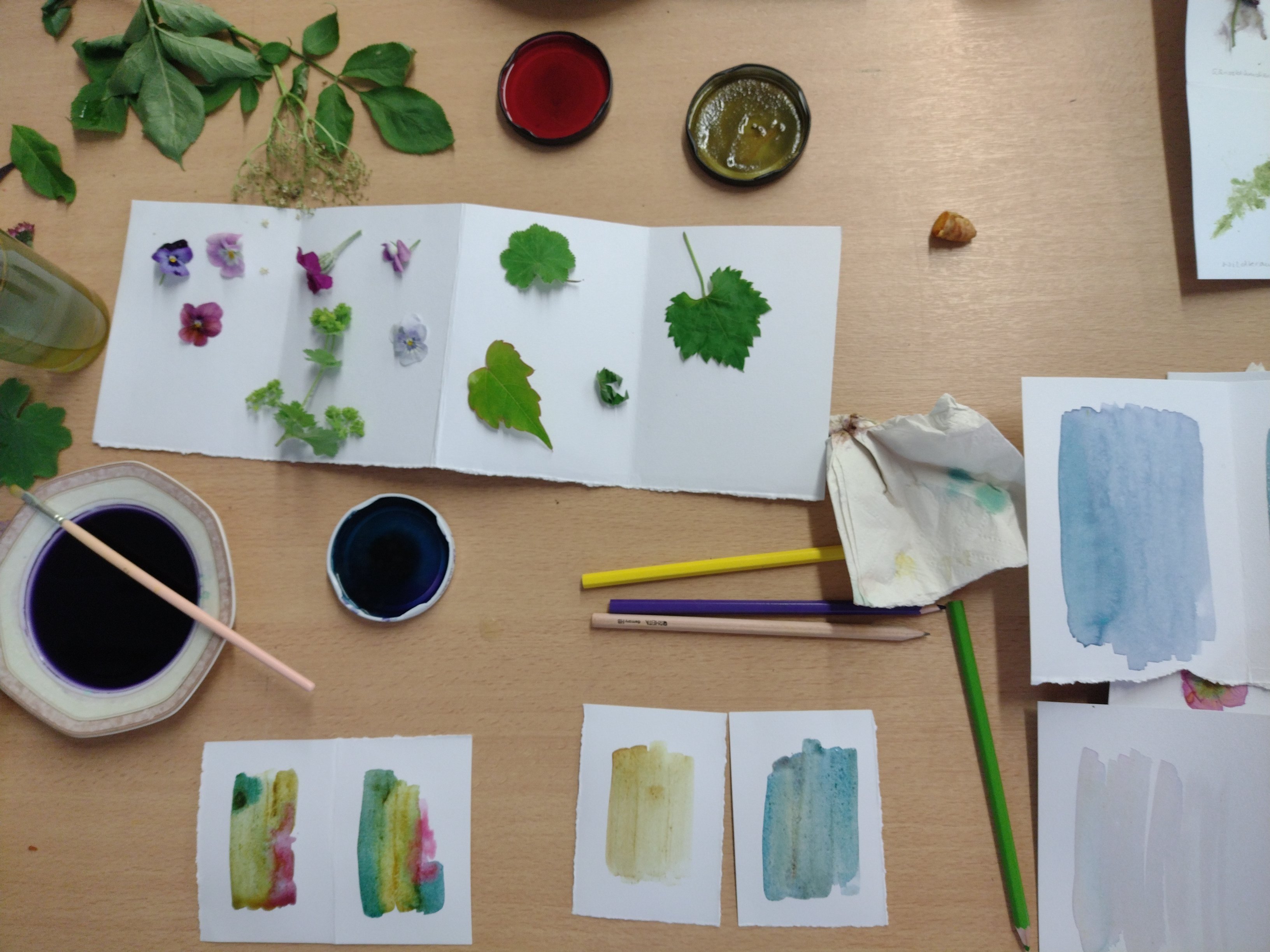 KuKuNa (c) M.-S. Morpheld