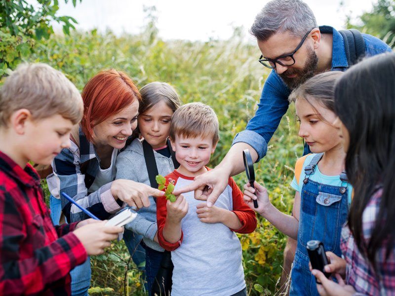 Kinderbetreuung (c) Halfpoint@stock.adobe.com